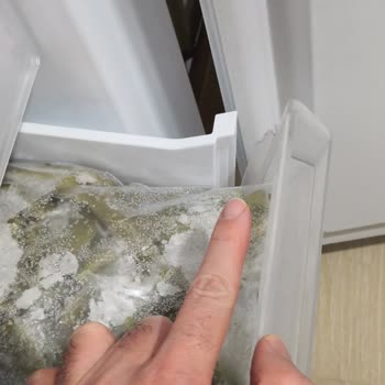 Kalitesiz Malzeme Ve Kırılan Parçalar: Derin Dondurucu Hayal Kırıklığı