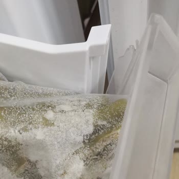 Kalitesiz Malzeme Ve Kırılan Parçalar: Derin Dondurucu Hayal Kırıklığı