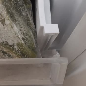 Kalitesiz Malzeme Ve Kırılan Parçalar: Derin Dondurucu Hayal Kırıklığı