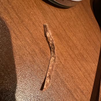 Organik Kakao Tozunda Kağıt Parçası Şoku