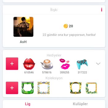 VIP7 Hesabımın Yanlış Yüklenmesi Ve Erişim Sorunu