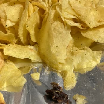 Lays Cipsin İçinden Çıkan Anlaşılmaz Maddeler