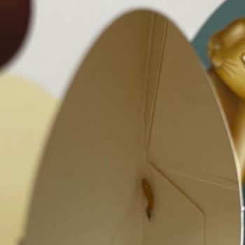 Fabrika Mağazasında Taze Ürün Sorunu