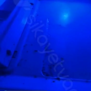 Beko Dolap Düzenli Çalışmıyor, Sebze Meyve Bozuluyor!