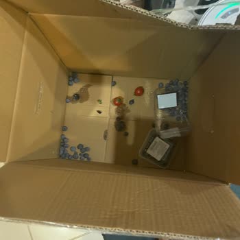 Tazedirekt Teslimat Ve İade Sürecinde Yaşanan Sorunlar