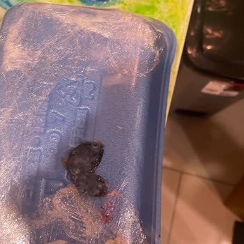 Tazedirekt Teslimat Ve İade Sürecinde Yaşanan Sorunlar