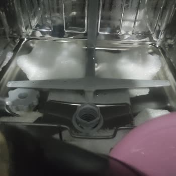 Vestel Bulaşık Makinesi İle Yaşanan Hayal Kırıklığı