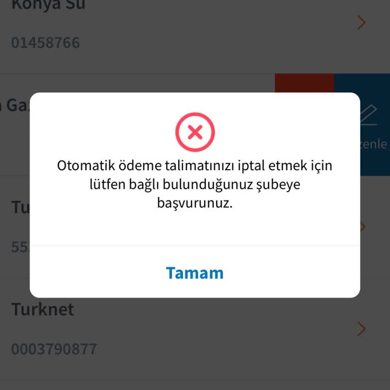 Otomatik Ödeme Talimatı İptal Edilemiyor