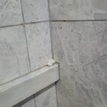 Expedia'da Yanıltıcı Fotoğraflar Ve İlgisiz Hizmet