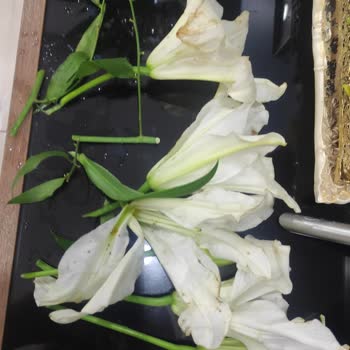 Çiçek Sepeti'nden Hayal Kırıklığı: Solmuş Çiçekler Ve Eksik Hizmet