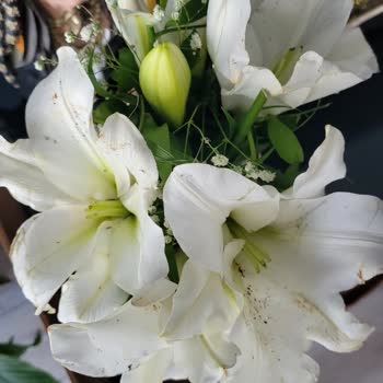 Çiçek Sepeti'nden Hayal Kırıklığı: Solmuş Çiçekler Ve Eksik Hizmet