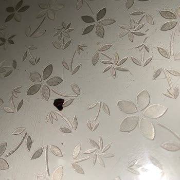 Kahve Paketinde Plastik Şoku