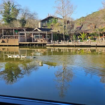 Doğum Günü Fiyaskosu: İlgisizlik Ve Kalitesizlik