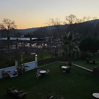 Doğum Günü Kabusu: İlgisiz Hizmet Ve Hayal Kırıklığı