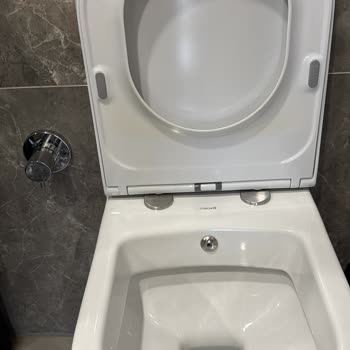 Bien Seramik Bien Marka Klozet Kapağındaki Renk Değişimi Ve Müşteri Hizmetleri Yanıtı