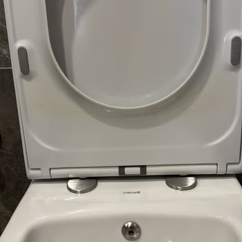 Bien Seramik Bien Marka Klozet Kapağındaki Renk Değişimi Ve Müşteri Hizmetleri Yanıtı