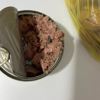 Ton Balığında Hijyen Sorunu Ve Sağlık Riski