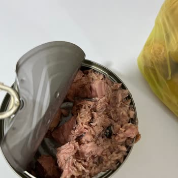 Ton Balığında Hijyen Sorunu Ve Sağlık Riski