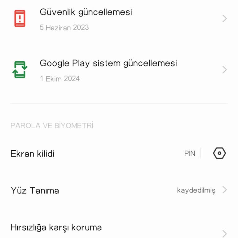 Güncelleme Sonrası Parmak İzi Ve Ekran Sorunları