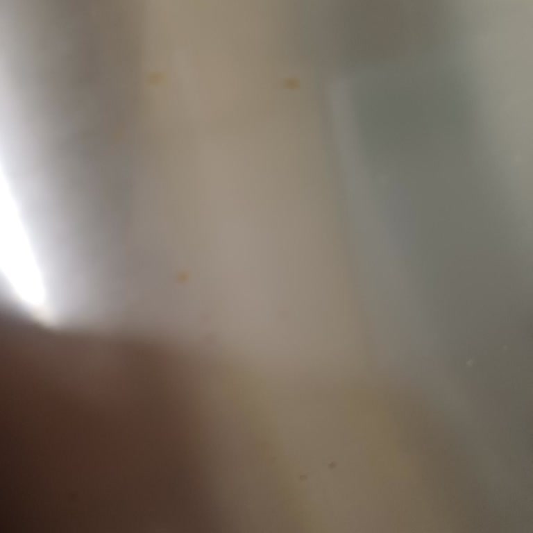 Bosch Buzdolabında Beklenmedik Paslanma Sorunu