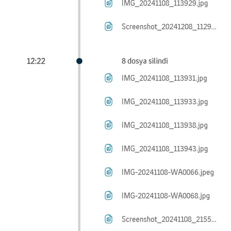Lifebox'ta Silinen Dosyalar İçin Kalıcı Çözüm Arayışı
