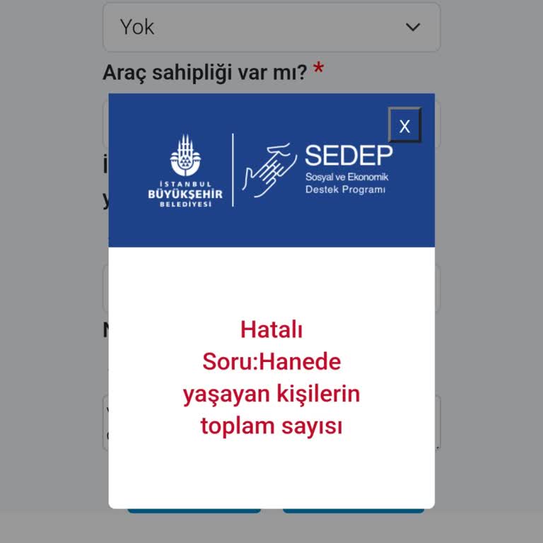 İBB Pazar Destek Başvurusunda Form Doldurma Sorunu