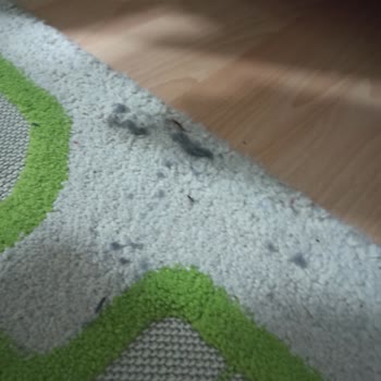 Teknik Servis Hatalı Tamir İncelemesi