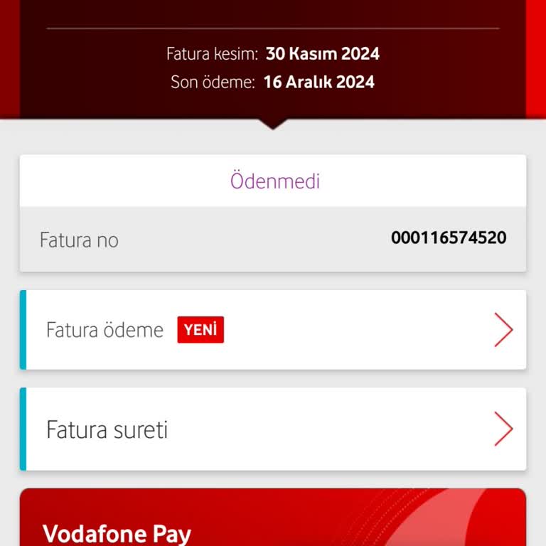 Bir Günlük İnternet Kullanımına Yüksek Fatura Şoku