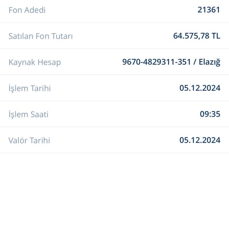 Haberim Olmadan Yapılan Fon Alımları