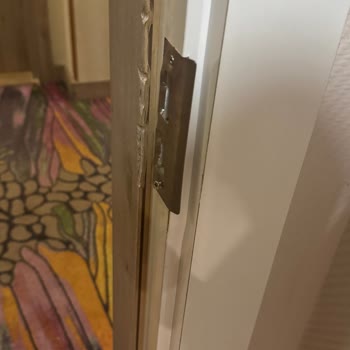 Delphin Otel'de Hayal Kırıklığı: Güvenlik Ve Hizmet Eksiklikleri