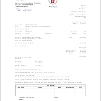 Dyson Süpürge Contası Sorunu