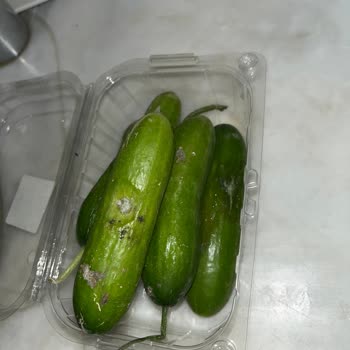 Küflü Salatalık Ve Sağlık Tehdidi