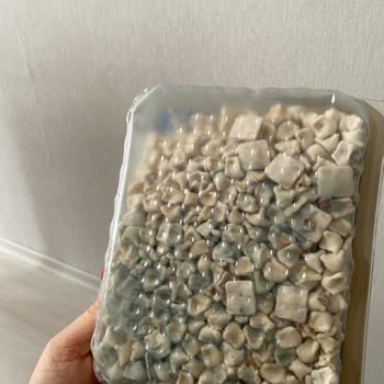 Küflü Erciyes Mantısı Hayal Kırıklığı