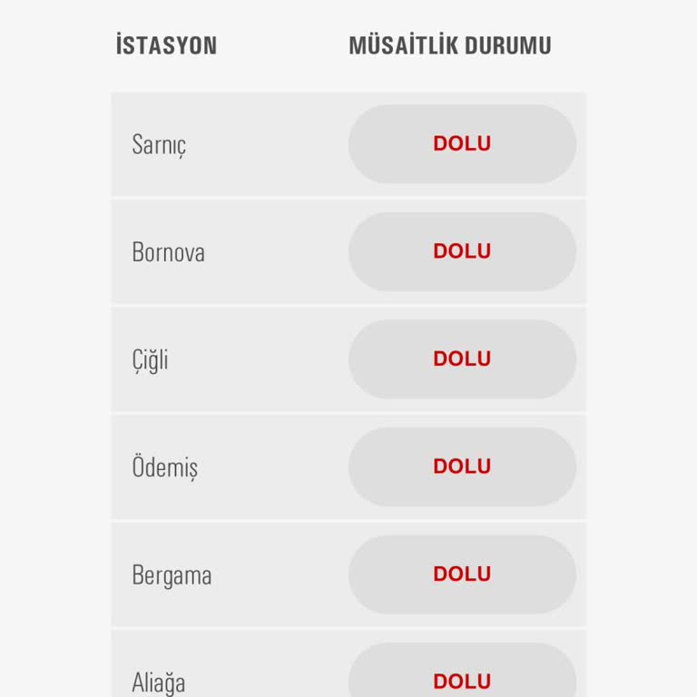 Araç Muayene Randevusu Sorunu