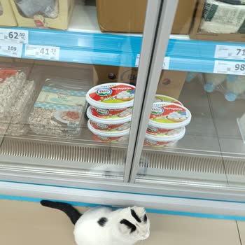 A101 Mağazasında Hijyen Sorunu Ve Müdürün Kaba Tavrı