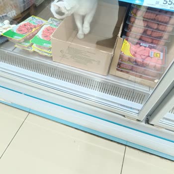 A101 Mağazasında Hijyen Sorunu Ve Müdürün Kaba Tavrı