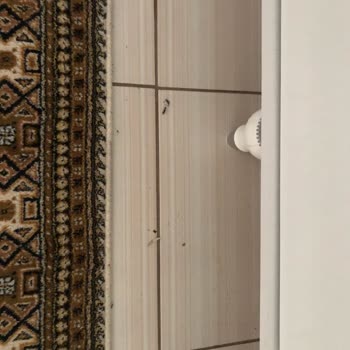 Philips Robot Süpürge Hayal Kırıklığı Ve Sürekli Sorun