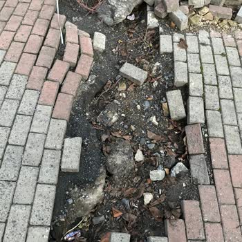 Emirgan'da Bitmeyen Yol Çilesi
