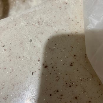 Tarım Kredi Kooperatifi Marketinden Aldığım Unda Böcek Sorunu Ve İade Zorluğu