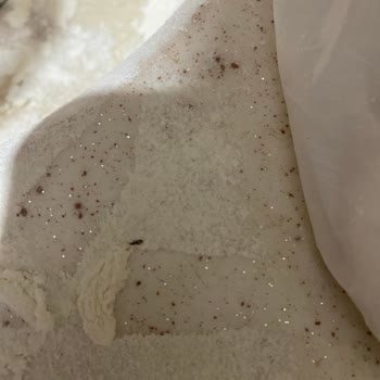 Tarım Kredi Kooperatifi Marketinden Aldığım Unda Böcek Sorunu Ve İade Zorluğu