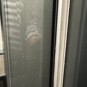 Balhome MASKO'dan Alınan Gardırop: Hayal Kırıklığı Ve Sorunlar Zinciri