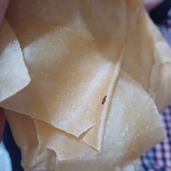 Turuncu Kuruyemiş Pestildeki Larva Ve Kurtlar: Olumsuz Müşteri Deneyimi