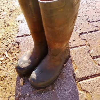 Starline Çizme Şikayeti