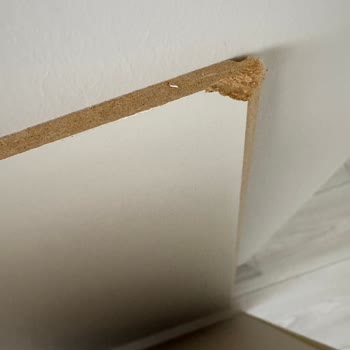 Islanan Koliler Ve IKEA'nın Geri Dönüş Yapmaması