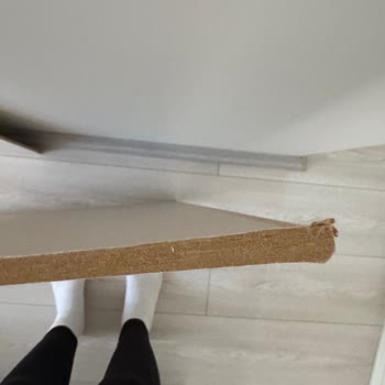 Islanan Koliler Ve IKEA'nın Geri Dönüş Yapmaması