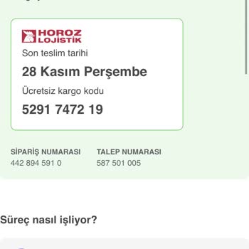 İade Sürecinde Yaşanan Sorunlar Ve Mağduriyet