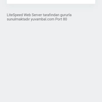 Güzel Hosting Hizmet Sorunu