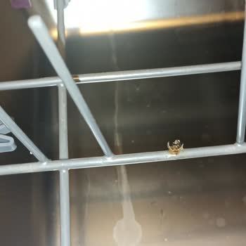 Arçelik Bulaşık Makinesi: Paslanma Sorunu