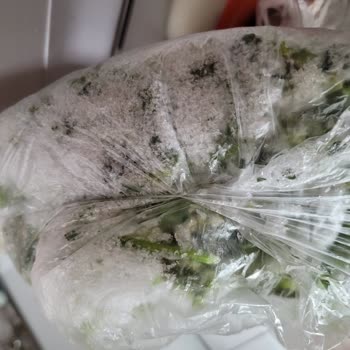 Siemens Buzdolabında Bitmeyen Karlanma Sorunu