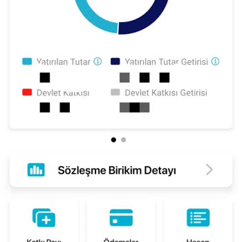 BES Mobil Uygulamasında Fon Değişikliği Sorunu